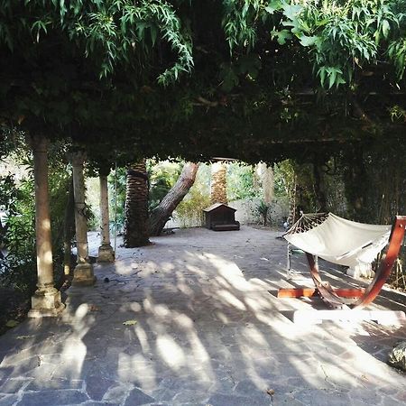 Cala Cavone Guest House Ponza Buitenkant foto