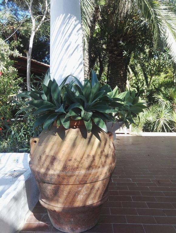 Cala Cavone Guest House Ponza Buitenkant foto